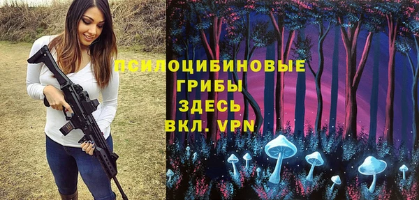 ПСИЛОЦИБИНОВЫЕ ГРИБЫ Абаза