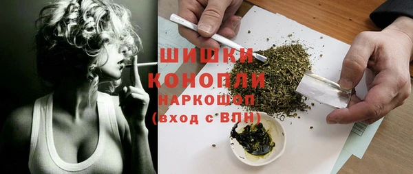 ПСИЛОЦИБИНОВЫЕ ГРИБЫ Абаза