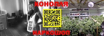 индика Конаково