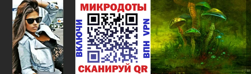 что такое наркотик  Комсомольск-на-Амуре  Галлюциногенные грибы Psilocybine cubensis 
