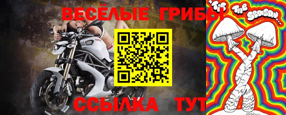 Псилоцибиновые грибы мухоморы Комсомольск-на-Амуре
