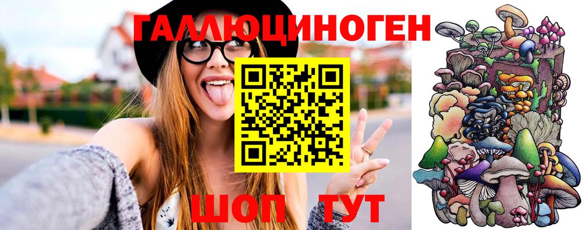 Комсомольск-на-Амуре  где продают наркотики  Вход с VPN  Галлюциногенные грибы Magic Shrooms  Псилоцибиновые грибы мицелий 